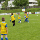 IMG_2460.jpg