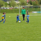 IMG_2461.jpg