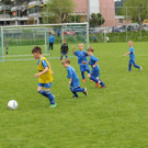 IMG_2464.jpg