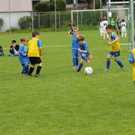 IMG_2466.jpg