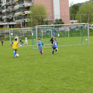 IMG_2468.jpg