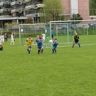 IMG_2469.jpg