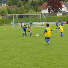 IMG_2470.jpg