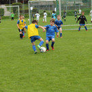 IMG_2475.jpg