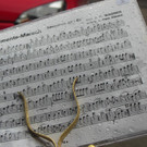 DSCN3489.JPG