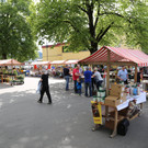 IMG_9347.JPG
