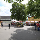 IMG_9348.JPG