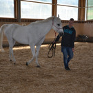 DSC_0416.JPG