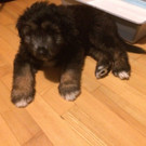 IMG-20150509-WA0016.jpg