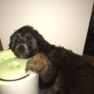 IMG-20150510-WA0011.jpg