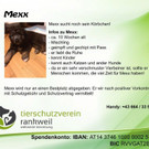 Flyer-Mexx.jpg