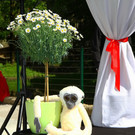 20150511fmt_zoogibbon_ta_022.JPG