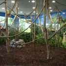 20150511fmt_zoogibbon_ta_027.JPG