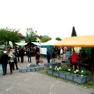 DSC08217.JPG
