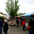 DSC08232.JPG