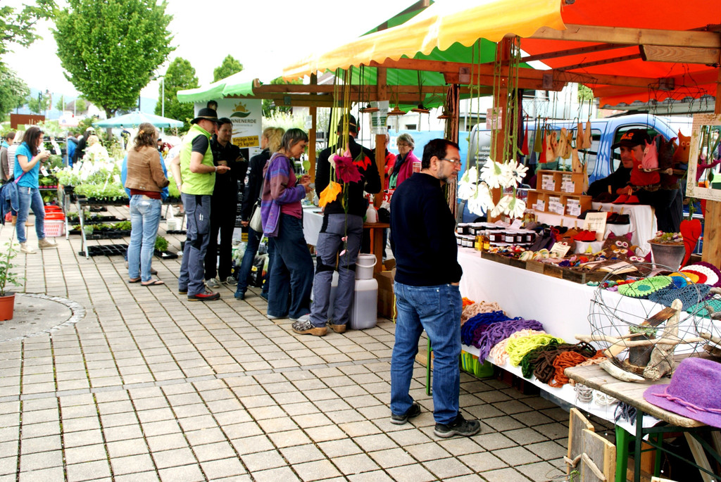 DSC08244.JPG