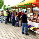 DSC08244.JPG