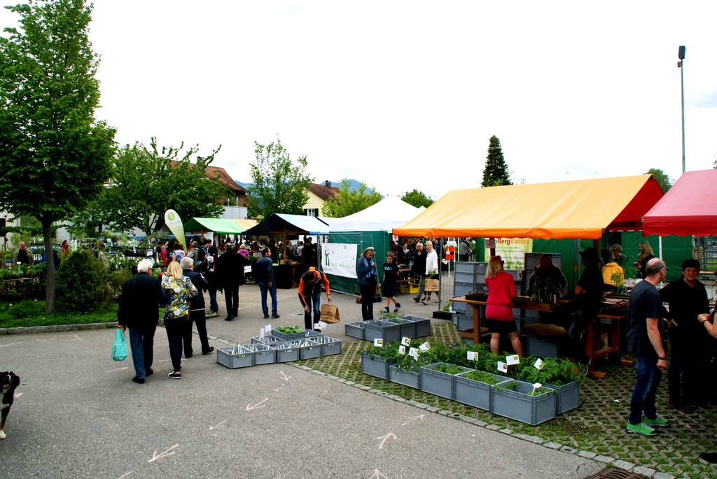DSC08217.JPG