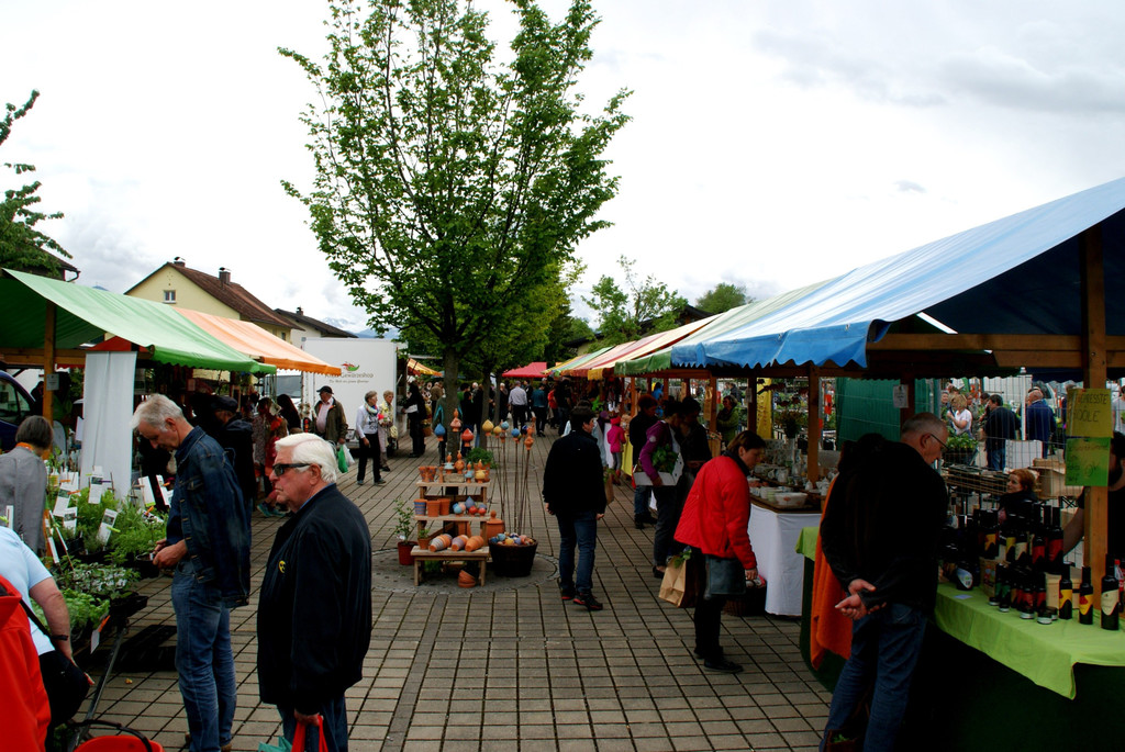 DSC08232.JPG