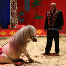 IMG_9959.JPG