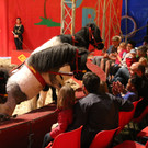 IMG_9976.JPG