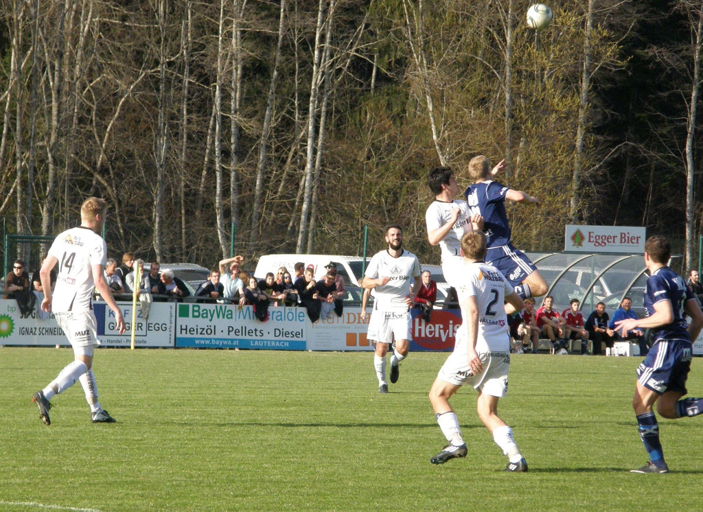 P3290175.JPG