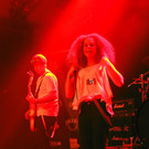 14036290.jpg