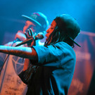 14036249.jpg