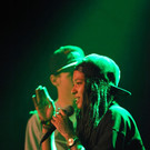 14036246.jpg