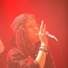 14036243.jpg