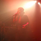 14036234.jpg