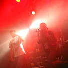 14036233.jpg