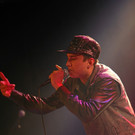 14036176.jpg