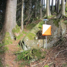 Bilder_Laufgebiet_Laterns_19.jpg