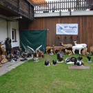DSC_2106.jpg