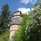34DSCN3350.jpg