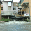 43DSCN3158.jpg
