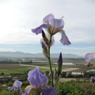 65DSCN3424.jpg