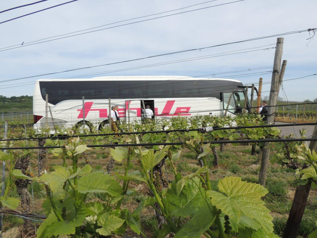 66DSCN3427.jpg