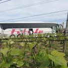 66DSCN3427.jpg