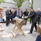 DSC00929.JPG