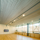 5T5V7377.jpg