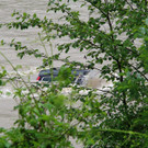 IMG_9712.JPG