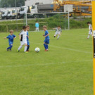 IMG_2500.jpg