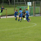 IMG_2503.jpg