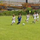 IMG_2524.jpg