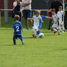 IMG_2537.jpg