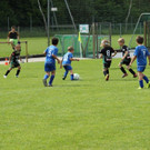 IMG_2540.jpg
