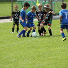 IMG_2542.jpg