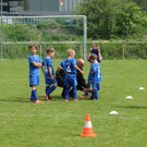 IMG_2543.jpg